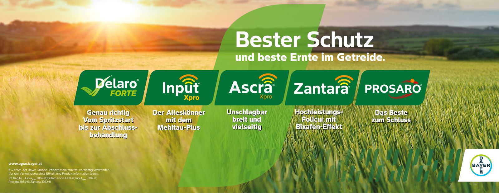 Bester Schutz und Wirkung im Getreide