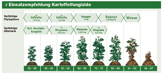 Kartoffelfungizide