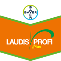 Laudis Profi Plus