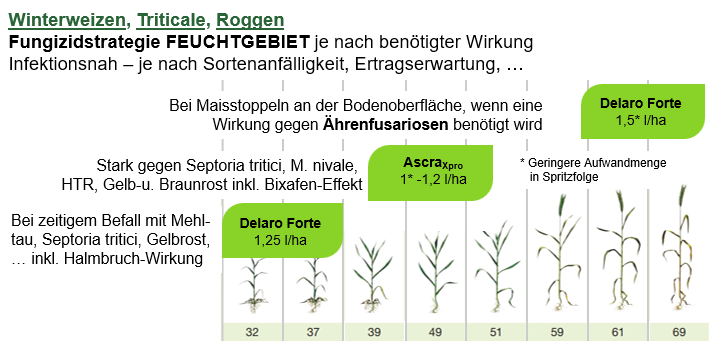 Bayer Fungizidstrategie Feuchtgebiet in Winterweizen, Triticale, Roggen