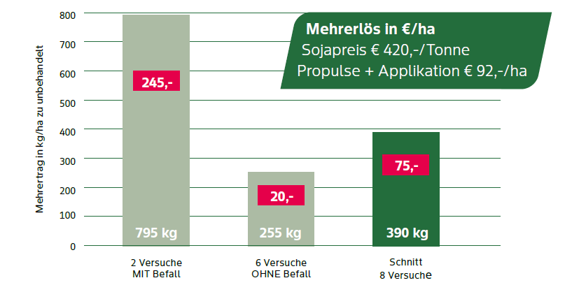 Versuch Sojabohne
