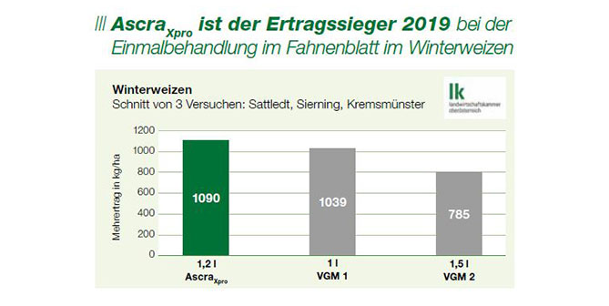 Ascra XPRO ist der Ertragssieger 2019 