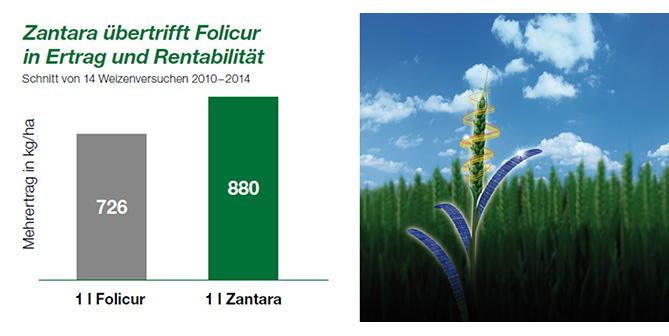 Zantara – kommt nur Krankheiten teuer zu stehen!