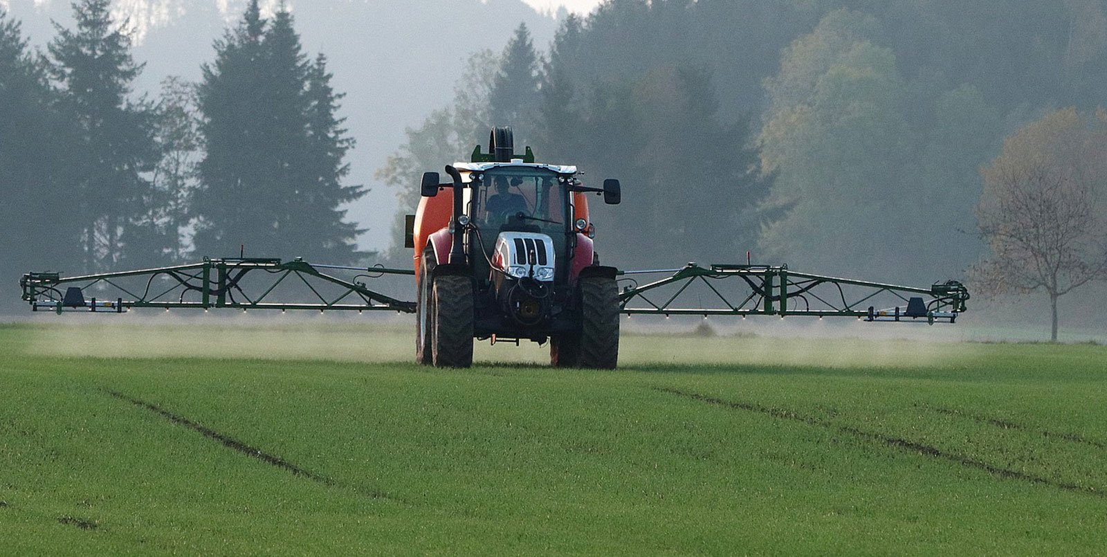 Ackerfuchsschwanzbekämpfung im Wintergetreide