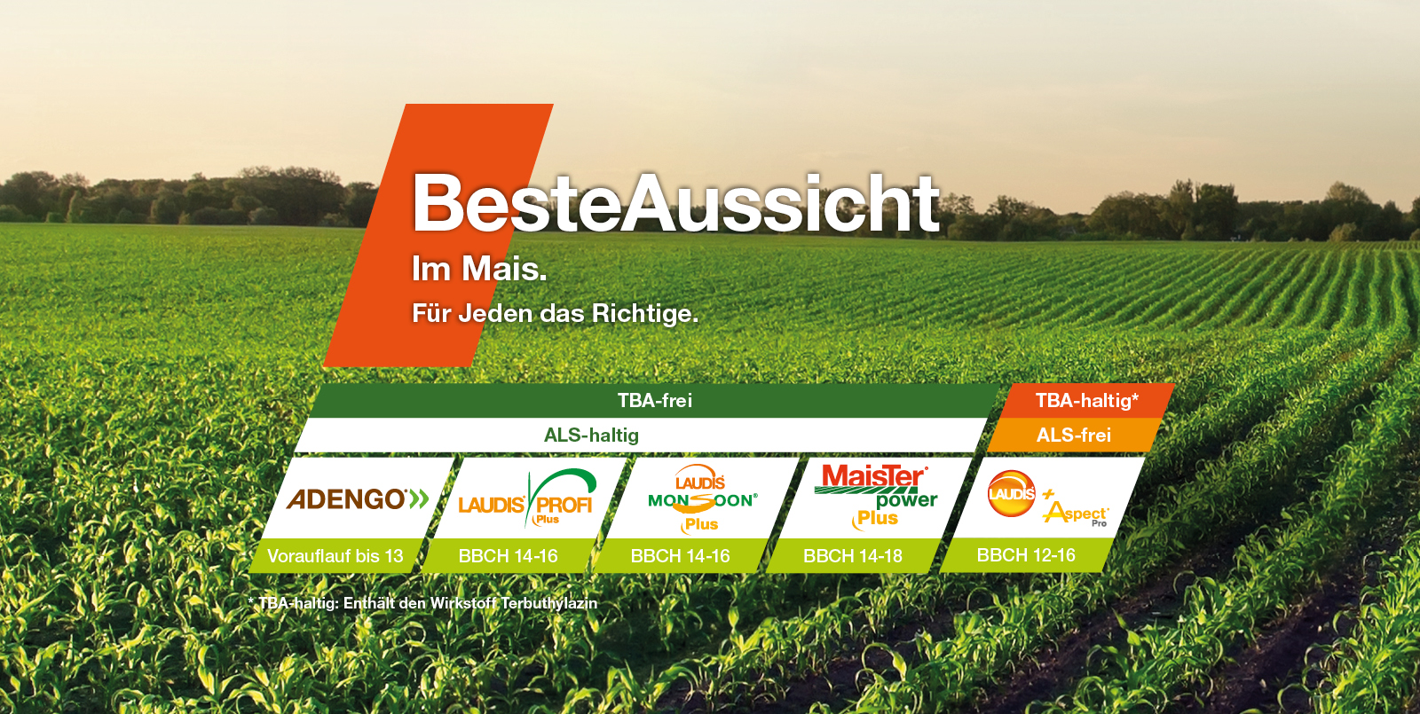 Beste Aussicht mit den Maisherbiziden von Bayer