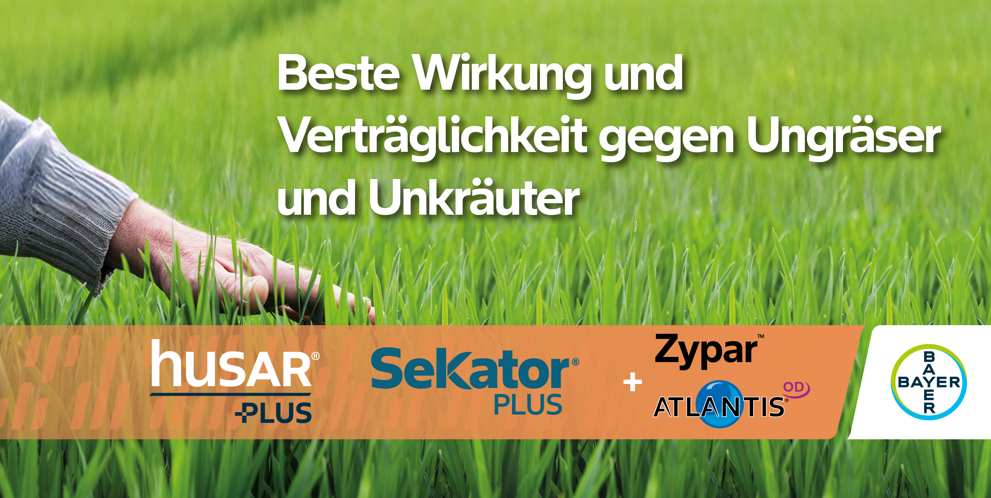 Beste Wirkung und Verträglichkeit