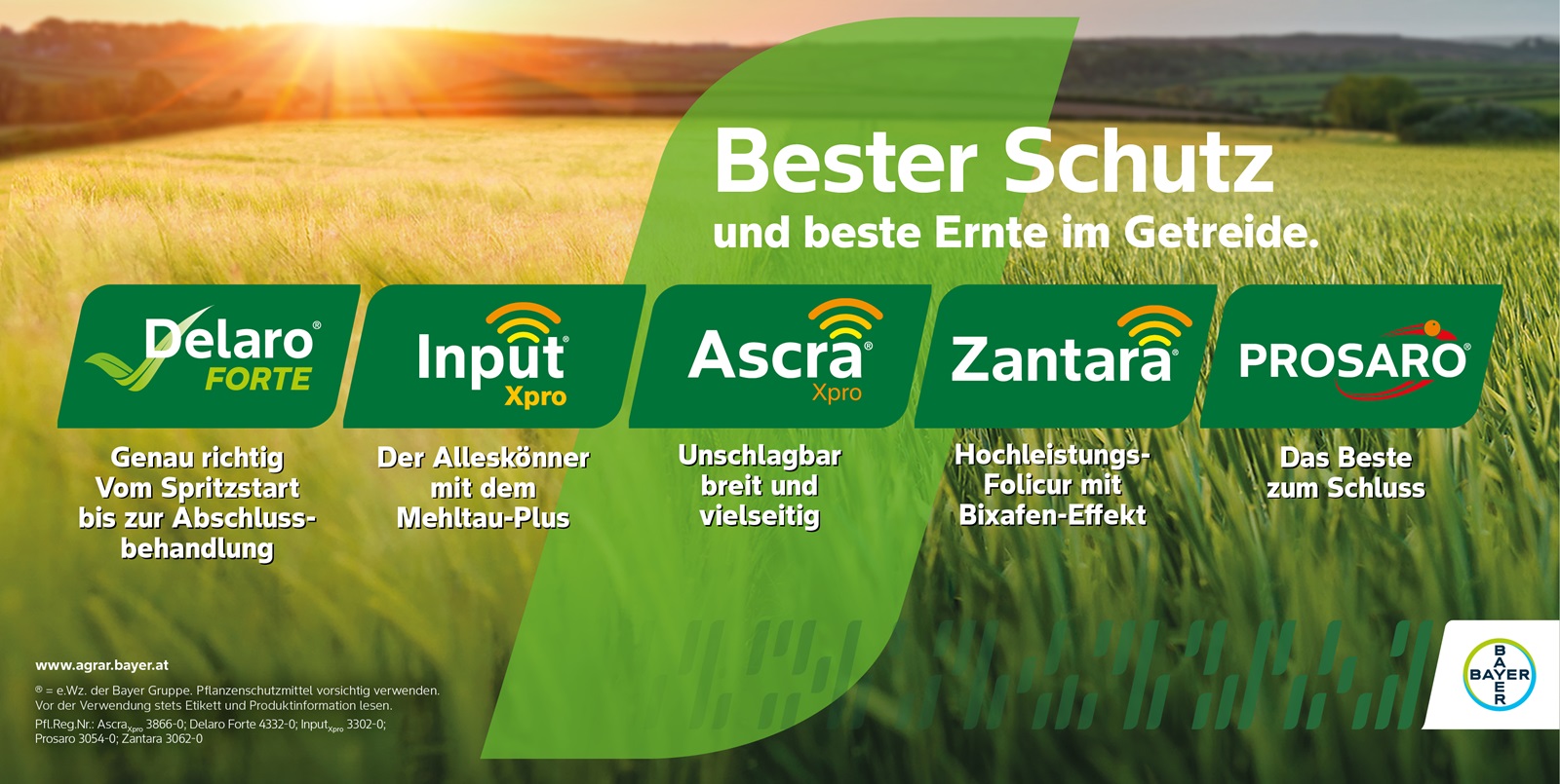 Bester Schutz und beste Ernte im Getreide