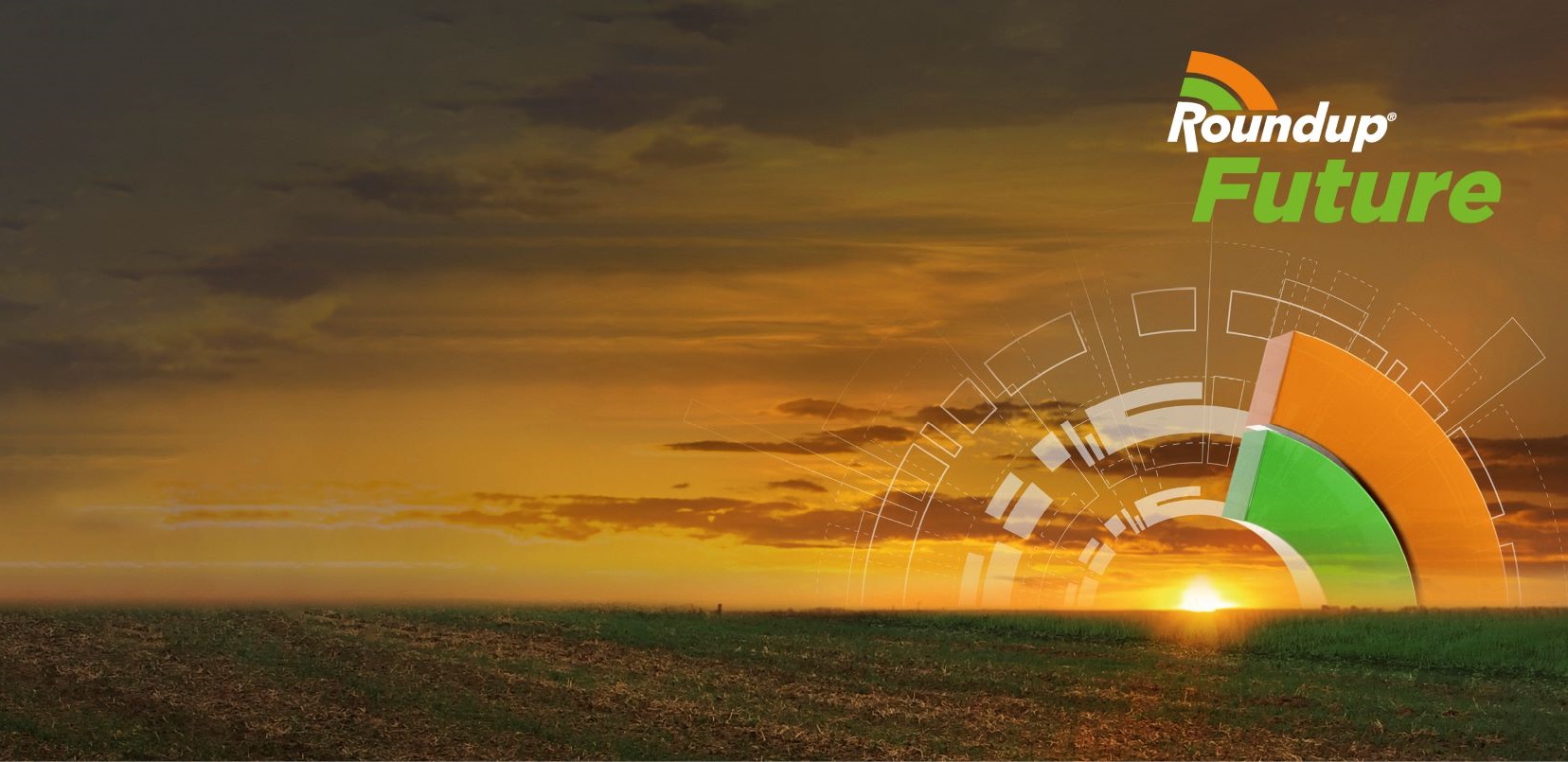 Roundup Future