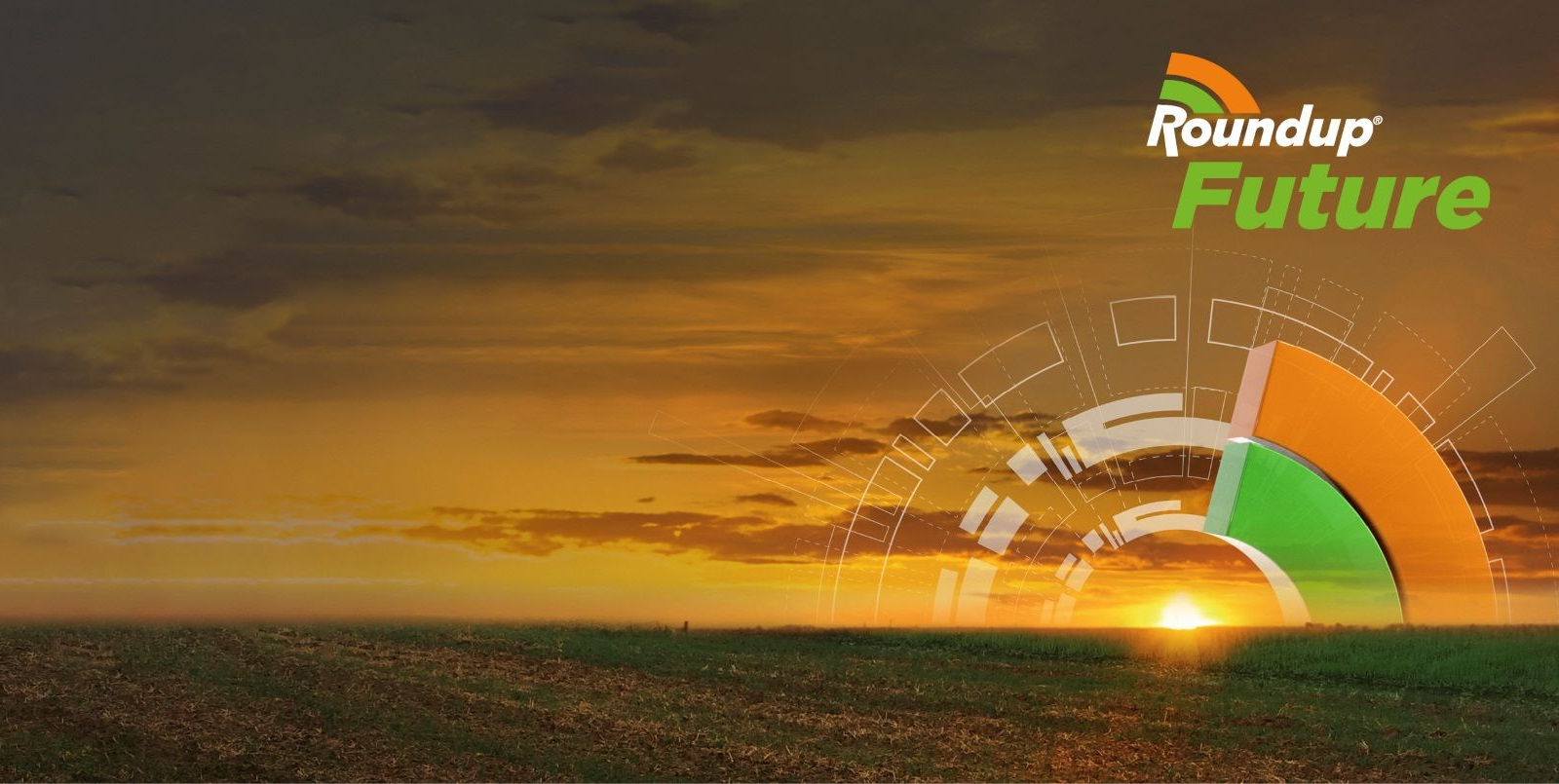 Roundup Future